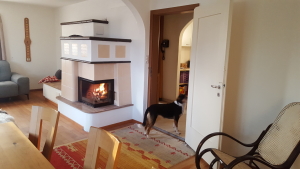 c biofire Schweiz Ag